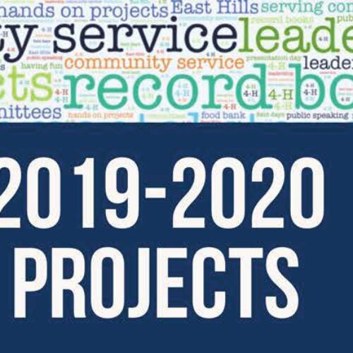 2019-2020 East Hills Projects