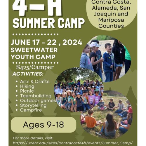 4-H Summer Sleepaway Camps (9-18) and Clover Day Camp (5-9)