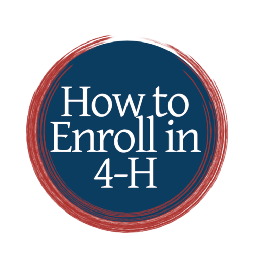 How to Enroll in 4-H